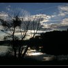 20051022_116